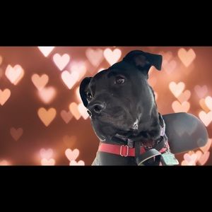 Meet your Posher, Chantel